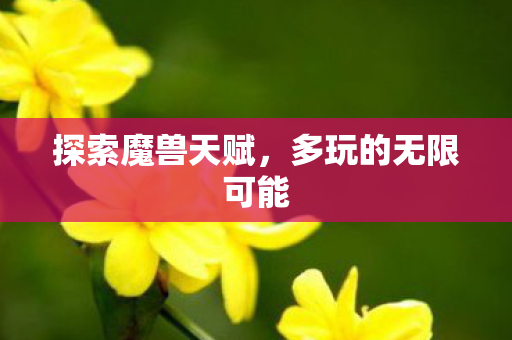 多玩的无限可能图片