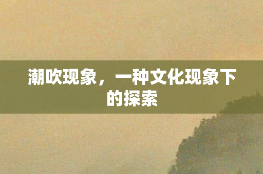 一种文化现象下的探索图片
