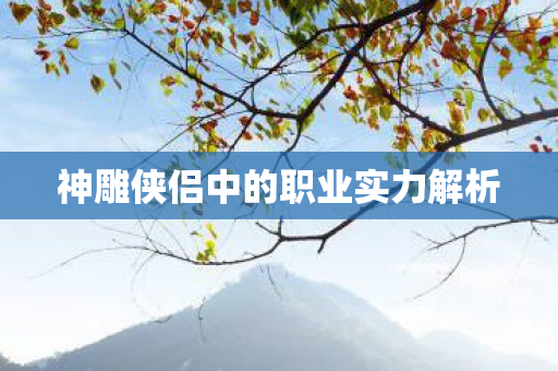 神雕侠侣中的职业实力解析图片
