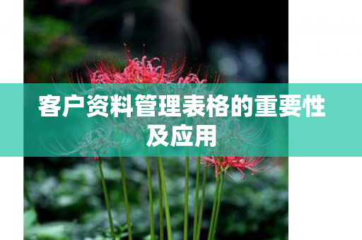 客户资料管理表格的重要性及应用图片