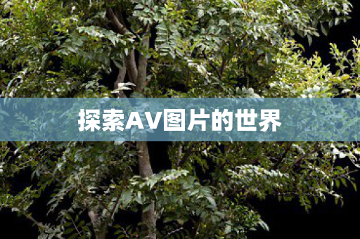 探索AV图片的世界图片