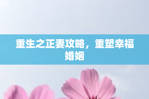 重生之正妻攻略图片