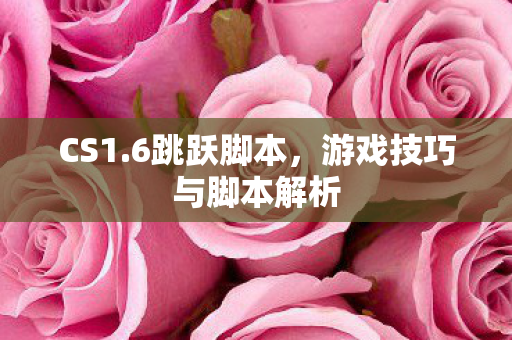 游戏技巧与脚本解析图片