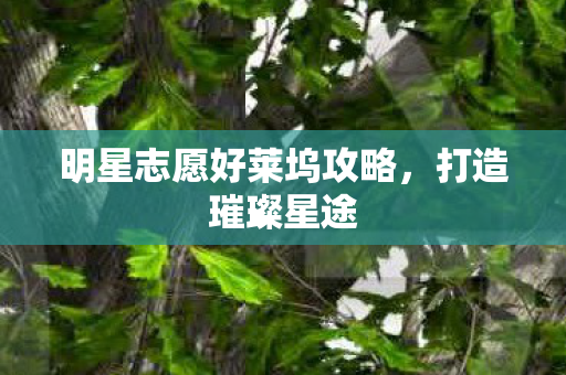 明星志愿好莱坞攻略图片