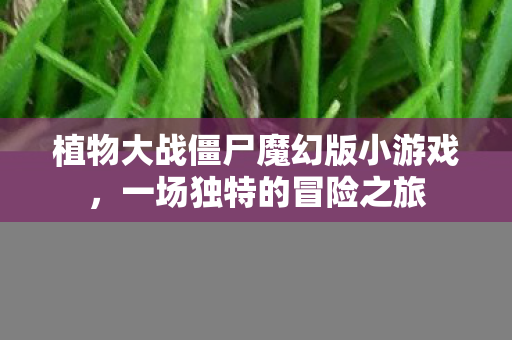 植物大战僵尸魔幻版小游戏图片