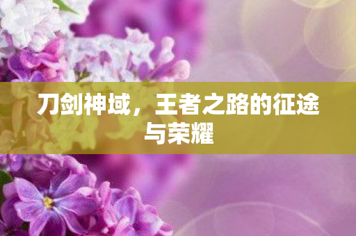王者之路的征途与荣耀图片