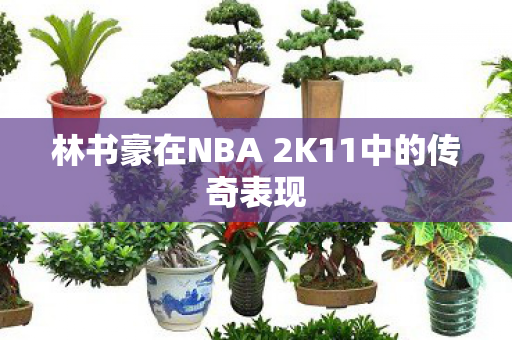 林书豪在NBA 2K11中的传奇表现图片