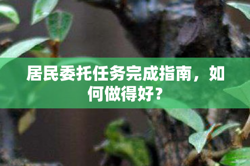 居民委托任务完成指南图片