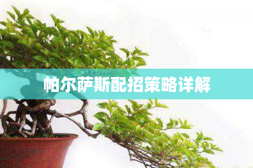 帕尔萨斯配招策略详解图片