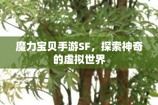 探索神奇的虚拟世界图片