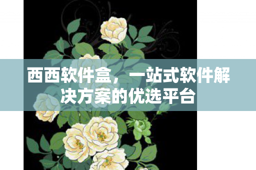 一站式软件解决方案的优选平台图片