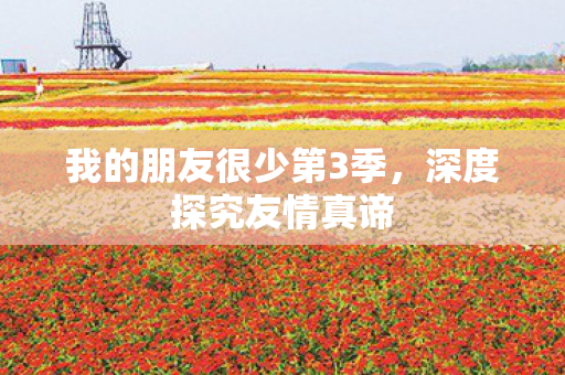 我的朋友很少第3季图片