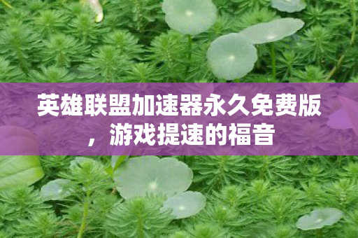 英雄联盟加速器永久免费版图片