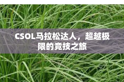 CSOL马拉松达人图片