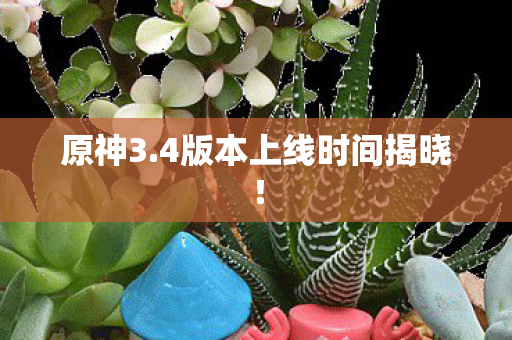 4版本上线时间揭晓图片