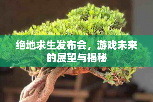 游戏未来的展望与揭秘图片