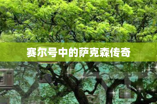 赛尔号中的萨克森传奇图片