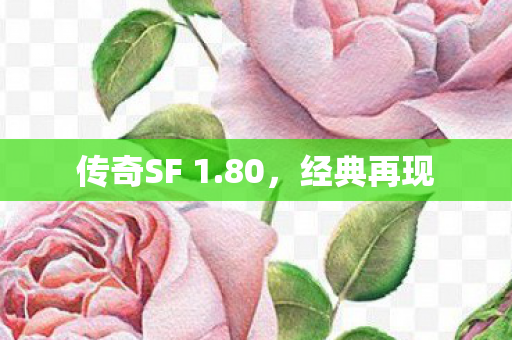 传奇SF 1图片