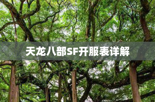 天龙八部SF开服表详解图片