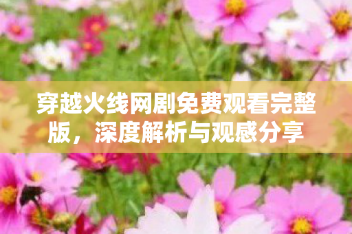 穿越火线网剧免费观看完整版图片