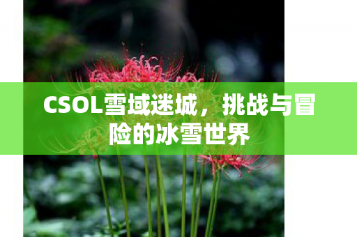 挑战与冒险的冰雪世界图片
