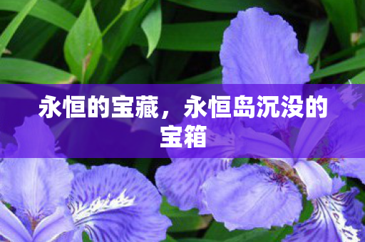 永恒岛沉没的宝箱图片