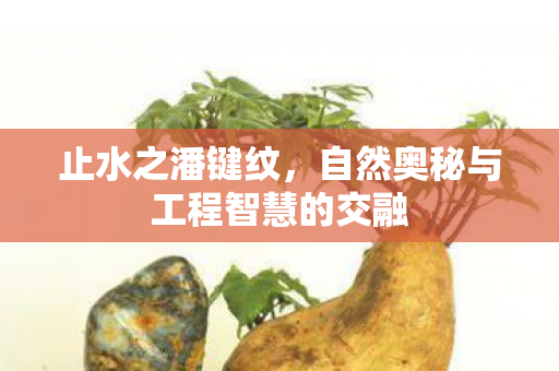 自然奥秘与工程智慧的交融图片