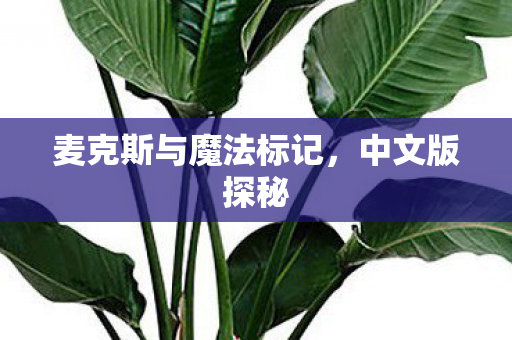 麦克斯与魔法标记图片