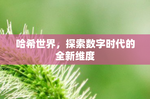 探索数字时代的全新维度图片