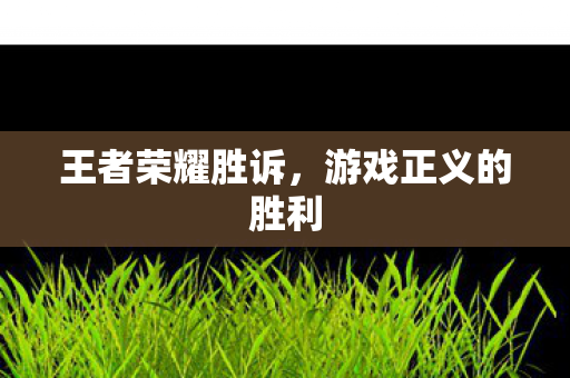 游戏正义的胜利图片