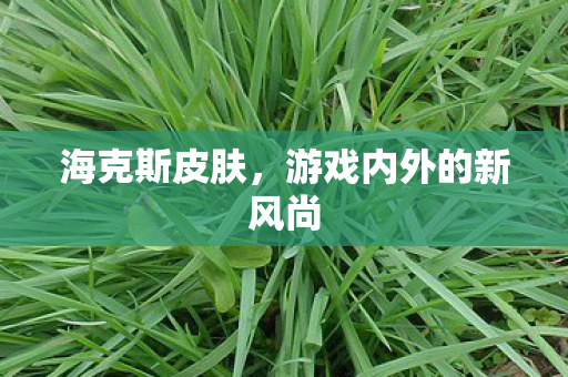 游戏内外的新风尚图片