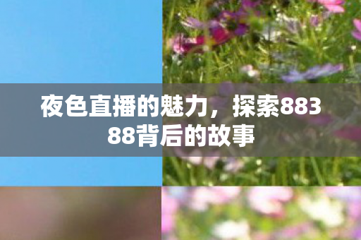 探索88388背后的故事图片