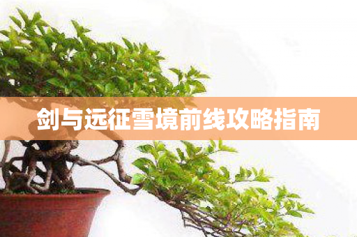 剑与远征雪境前线攻略指南图片