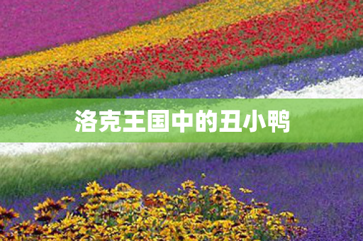 洛克王国中的丑小鸭图片