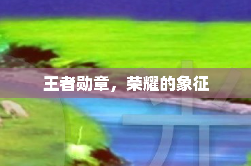 荣耀的象征图片