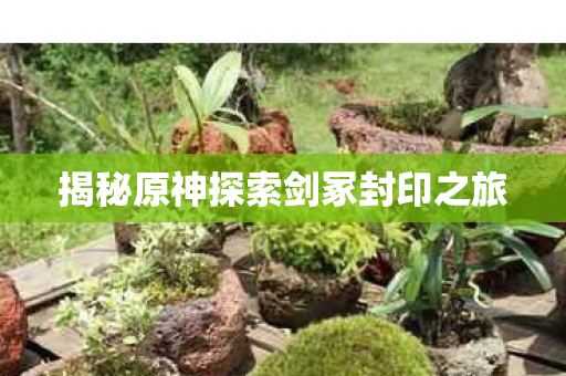 揭秘原神探索剑冢封印之旅图片