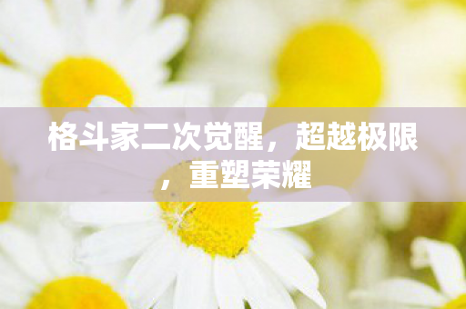 格斗家二次觉醒图片