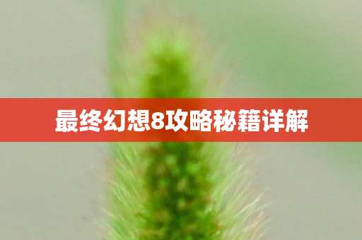 最终幻想8攻略秘籍详解图片