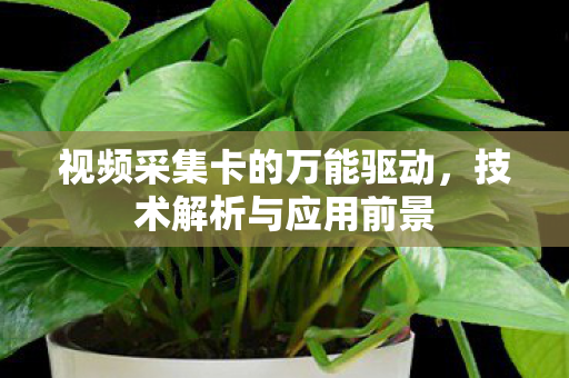 视频采集卡的万能驱动图片
