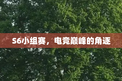 电竞巅峰的角逐图片