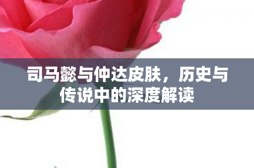 历史与传说中的深度解读图片