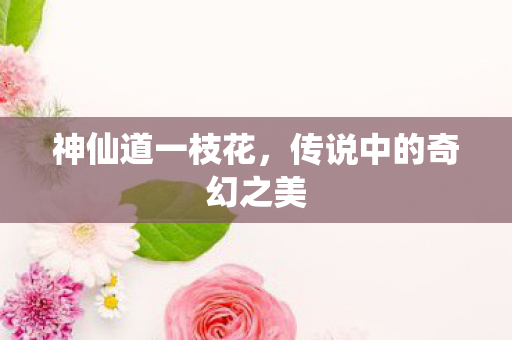 传说中的奇幻之美图片