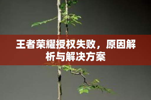 原因解析与解决方案图片