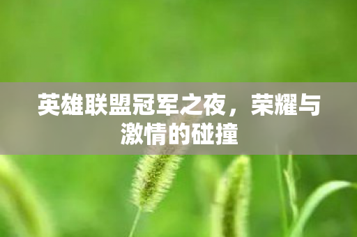 英雄联盟冠军之夜图片