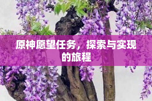 探索与实现的旅程图片