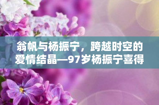 97岁杨振宁喜得一子图片