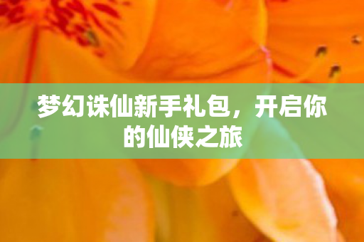 梦幻诛仙新手礼包图片