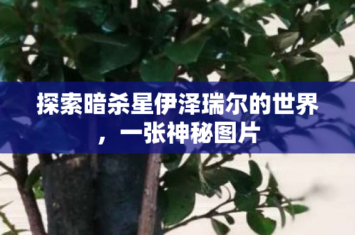 探索暗杀星伊泽瑞尔的世界图片