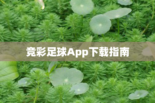 竞彩足球App下载指南图片