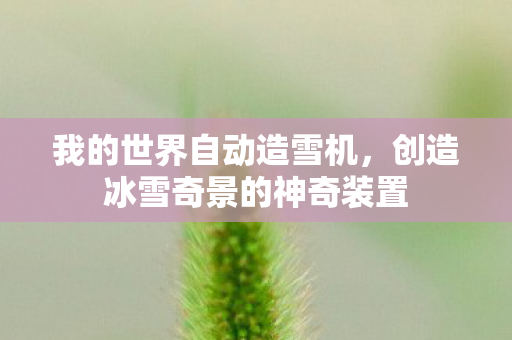 创造冰雪奇景的神奇装置图片